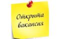 Удалённая работа (подработка)